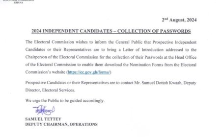 FROM ELECTORAL COMMISSION TO 2024 INDEPENDENT CANDIDATES - COLLECTION OF PASSWORDS