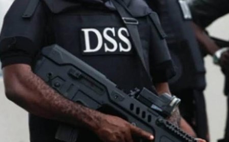 DSS Operatives, Soldier In Masked Take Over Peaceful Protest In Abuja After Police Attacked Civilian | JH reporters