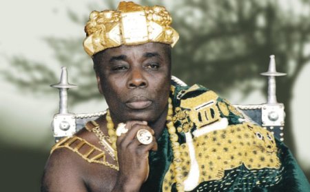 Okyehene sues Hopeson and TV3 over Agyapadie Book