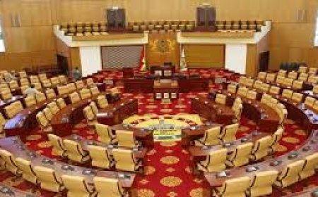THE EXECUTIVE AND THE JUDICIARY ARE SEEMINGLY COLLUDING TO WEAKEN PARLIAMENT-SPEAKER BAGBIN