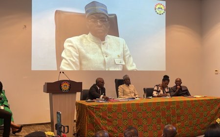 THERE IS NO CONSTITUTIONAL CRISIS IN GHANA AMID THE CONTROVERSY OVER VACANT SEATS- SPEAKER BAGBIN