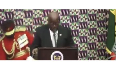 PRESIDENTIAL GUARD FAINTS DURING SONA IN PARLIAMENT HOUSE