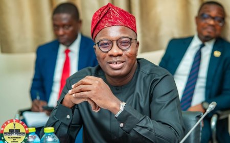 We won’t abuse our overwhelming majority – Mahama Ayariga