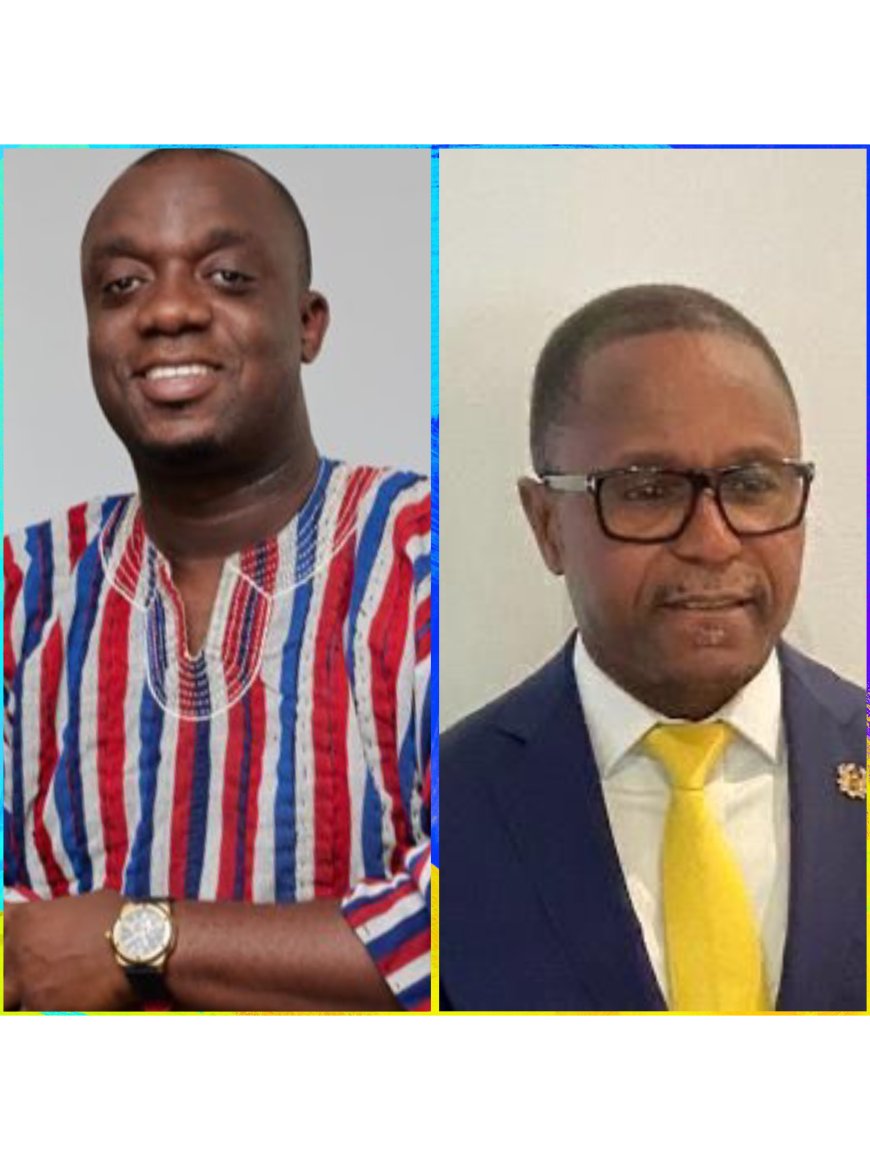 Tension in NPP: General Secretary Threatens NPP UK Chairman at National Council Meeting