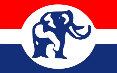NPP Denies Existence of Draft Report on Election Review