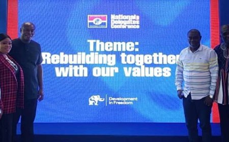 NPP Sets New Age Limit for Youth Organizer Position