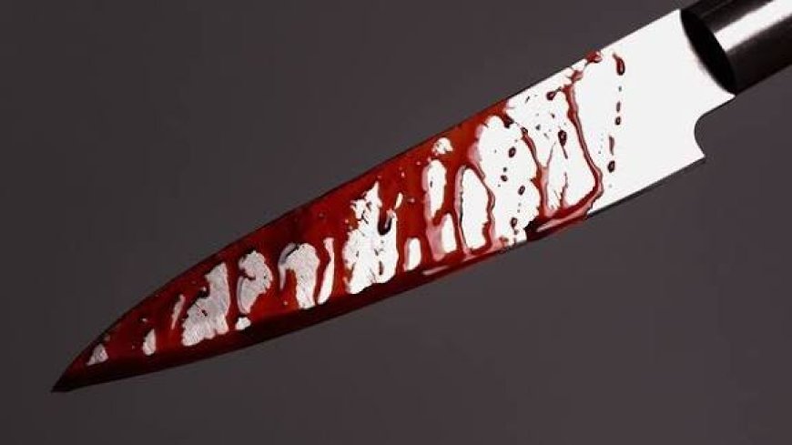 Woman Arrested for Stabbing Husband Over Dinner Dispute in Eastern Region