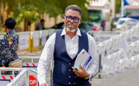 Gomoa Central MP petitions Speaker to remove Hon. Abena Osei Asare as PAC Chair