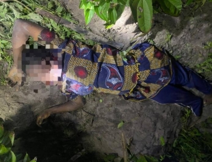 Pregnant Woman Found Dead with her throat slit on Farm in Dormaa West