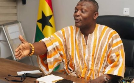 Sports Ministry Denies Sponsoring Fans for Black Stars Friendly in Germany