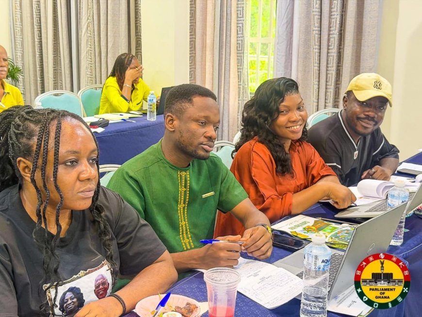 PARLIAMENTARY MEDIA RECEIVE TRAINING ON PUBLIC FINANCIAL MANAGEMENT REPORTING