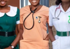 Health Ministry Completes Posting of 6,245 Nurses and Midwives Nationwide