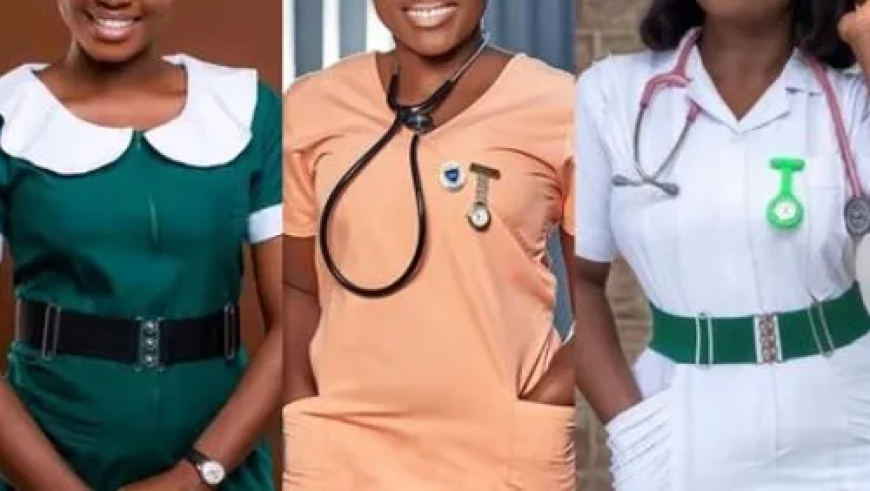 Health Ministry Completes Posting of 6,245 Nurses and Midwives Nationwide
