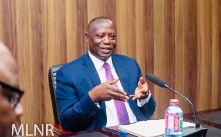 STATE OWNS EFUA SUTHERLAND CHILDREN’S PARK - LANDS MINISTER CONFIRMS