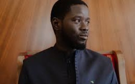 Senegal Court Jails Three TikTok Influencers for Insulting President