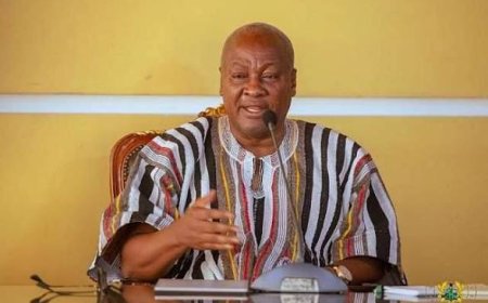 Mahama Assures Exim Bank of Support to Recover Loans from Defaulters